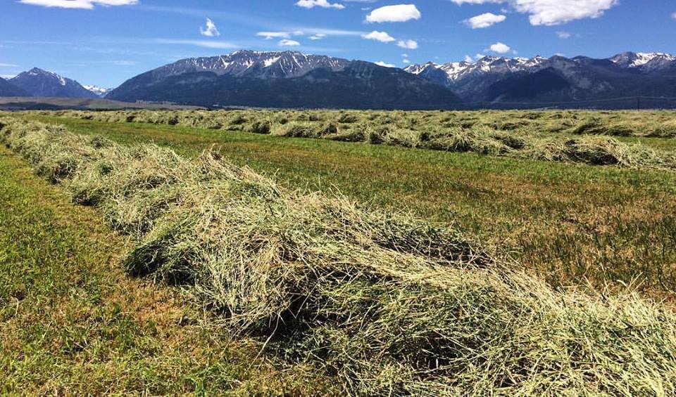 Agronomy TriCounty Equipment Enterprise Oregon